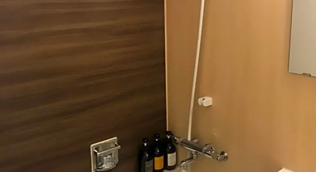 Номер Deluxe Bayside Hotel Azur Takeshiba