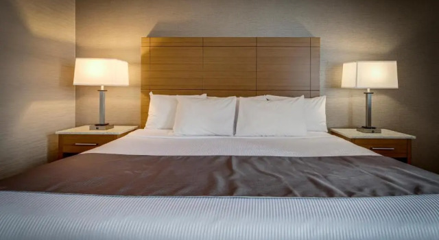 Люкс Monte Carlo Inn Vaughan Suites