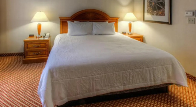 Люкс с видом на город Hilton Garden Inn Williamsburg