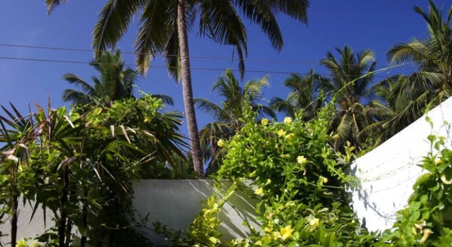 Двухместный номер Deluxe с видом на сад Jasper House Sri Lanka