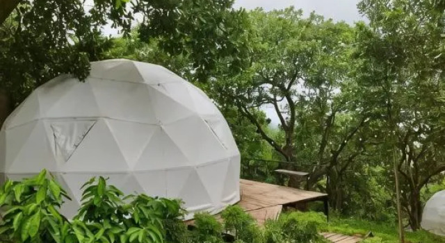 Семейный тент с видом на сад Tropical eglamping