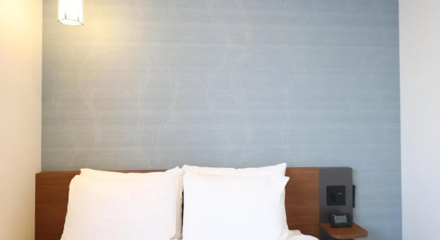 Двухместный номер Ms Hotel Nijojo Oike