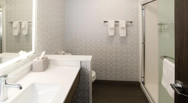 Двухместный люкс Holiday Inn Express and Suites Moose Jaw by IHG