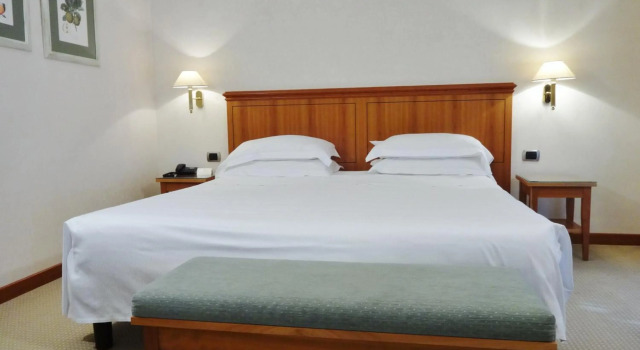 Hotel Excelsior Magenta