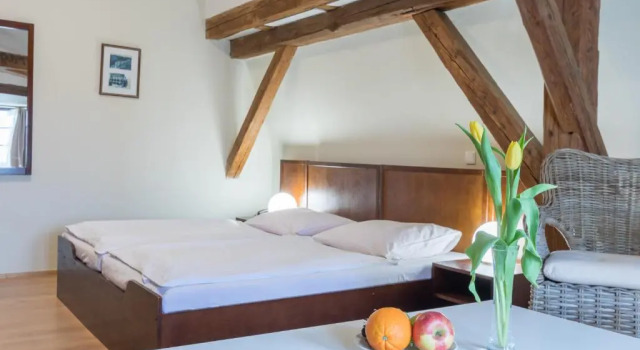Номер Deluxe Hotel Celerin