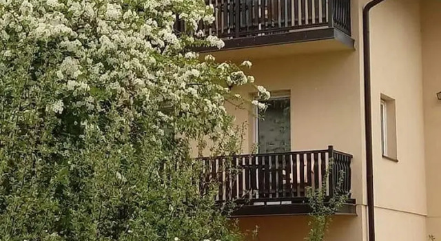 Apartments Vila Velickovic, Buchen Sie Ferienwohnung Čajetina 