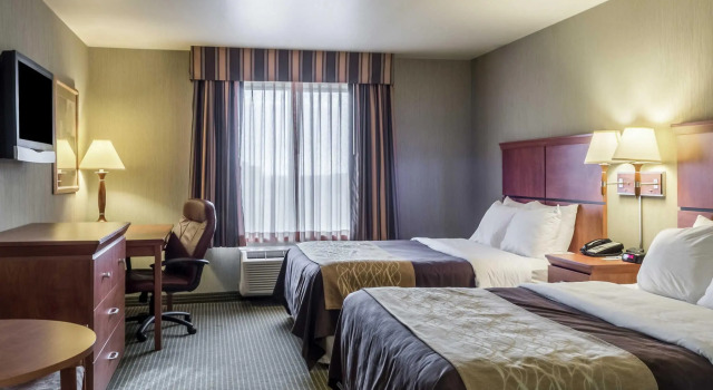 Четырёхместный номер Standard Comfort Inn & Suites