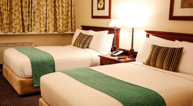 Номер Executive Southern Sun Mbombela
