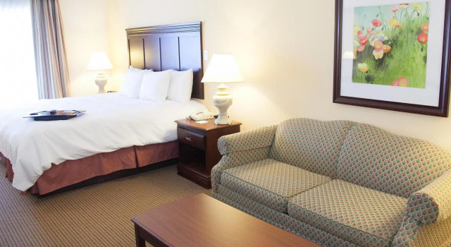 Номер Standard Hampton Inn & Suites Alpharetta Roswell