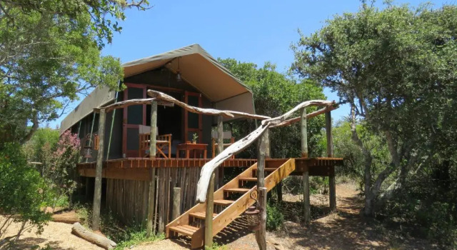 Тент Woodbury Tented Camp - Amakhala Game Reserve