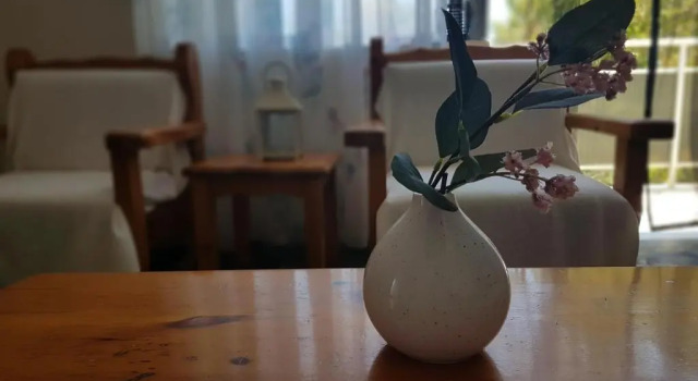Апартаменты Gkionis Apartment