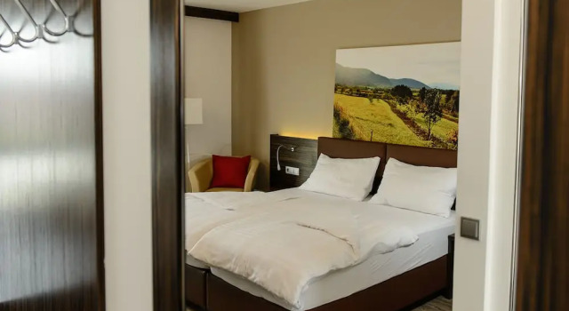 Номер Business Dorfmeister Business Hotel B&B