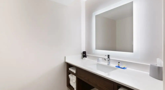 Люкс c 1 комнатой Holiday Inn Express Naperville by IHG