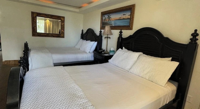 Четырёхместный номер Standard с красивым видом из окна Hotel Coral Reef