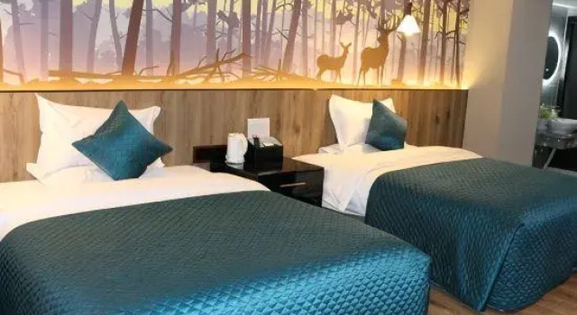 Люкс Deluxe Hongda Hotel