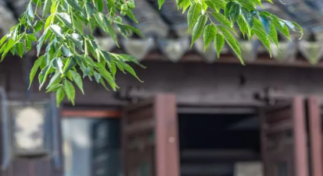 Sheyu Hostel, Book Hostel Hostels in Yangxiangjing, Hostel
