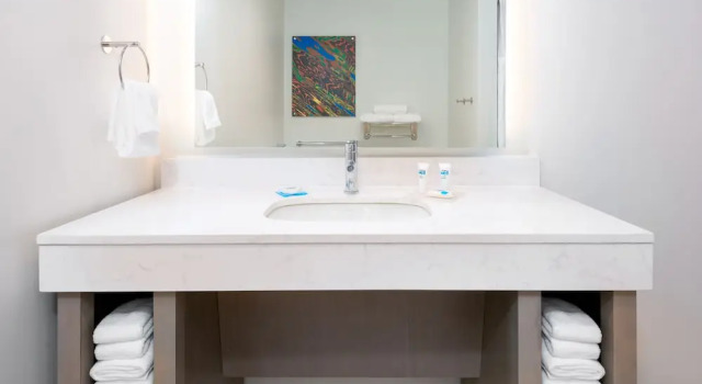 Двухместная студия люкс Hyatt House Tampa Airport/Westshore