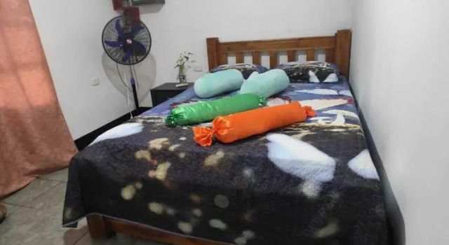 Номер Classic Green House Casa de Playa Tortuguero