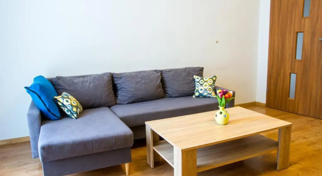 Apartament Brązowy Narutowicza 11