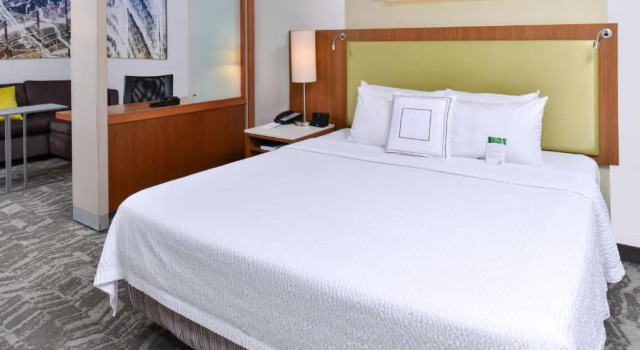 Студия Springhill Suites by Marriott Detroit Metro Airport Romulus