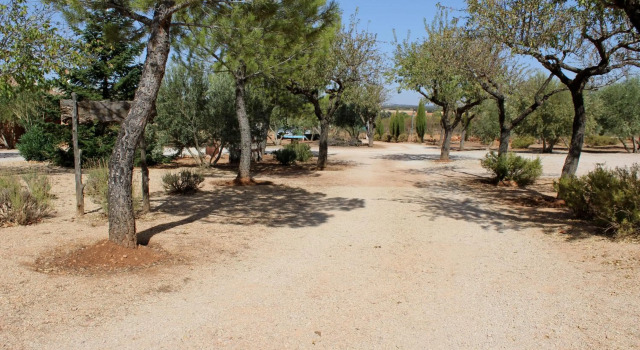 Casas Rurales el Palomar