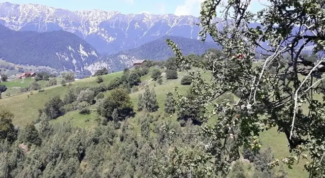 Casa Claudiu