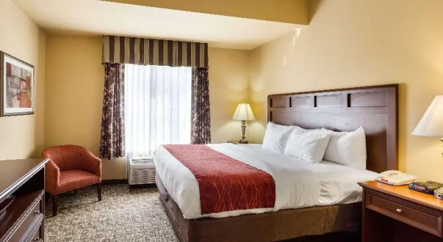 Люкс Standard Comfort Inn & Suites Blytheville