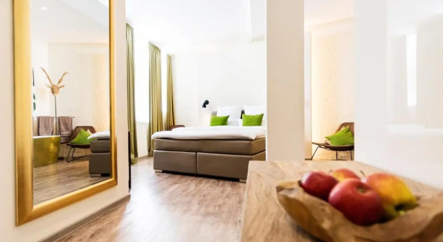 Номер Superior 1st Floor Köln 2