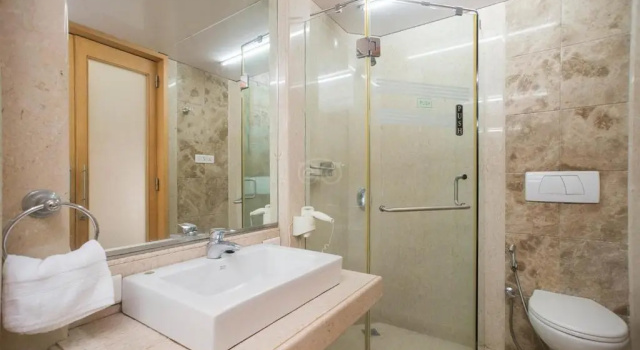 Двухместный номер Deluxe Regent Hotel