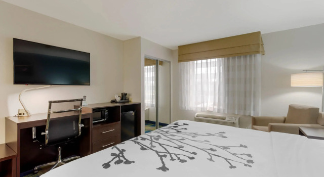 Двухместный номер Standard Sleep Inn & Suites Smyrna - Nashville Area