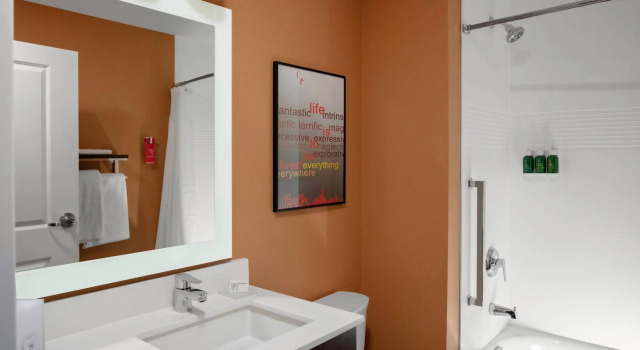 Двухместный люкс c 1 комнатой TownePlace Suites by Marriott Gainesville