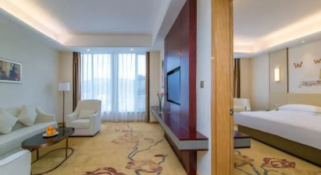 Двухместный семейный люкс Deluxe Vienna International Hotel