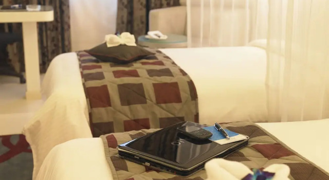 Двухместный номер Deluxe Blu Petal - A Business Hotel