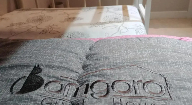 Cama en dormitorio compartido (dormitorio compartido femenino) Bomgoro Guesthouse