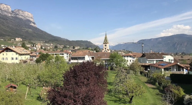 Одноместный номер Economy с балконом Angerburg Blumenhotel