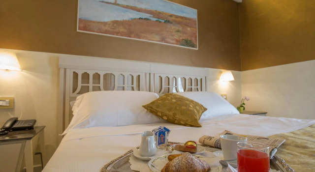 Одноместный номер Standard Hotel Hermitage