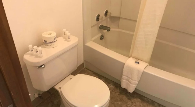 Трёхместный семейный номер Standard Paintbrush Motel