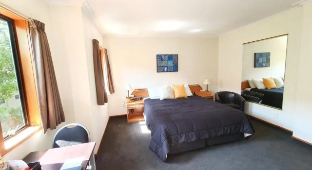 Двухместная студия Fitzherbert Castle Motel