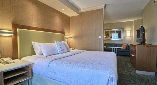 Двухместный люкс SpringHill Suites Detroit Southfield
