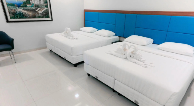 Двухместный номер Executive Alinson Boutique Resident Batam