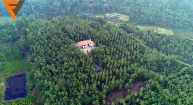 Fog 'o' Ville, Rezervovat Hotel Kushalnagar 