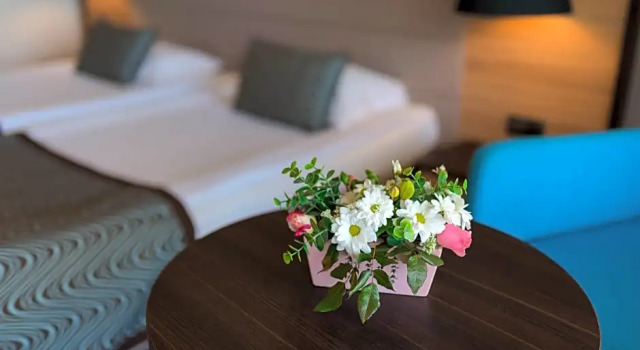 Номер Standard Astera Hotel & Spa with FREE PRIVATE BEACH