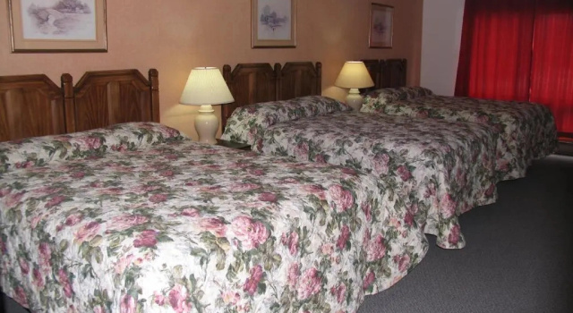 Номер Standard с видом на сад Seven Oakes Motel