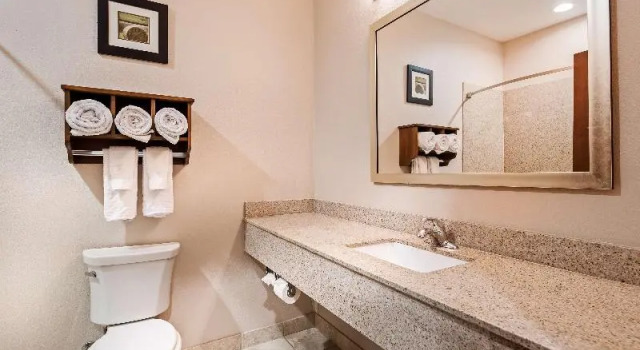Люкс Standard Best Western Plus Denver City Hotel & Suites