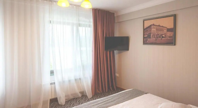 Двухместный номер Standard с видом на озеро Hotel Roser House Boutique - pe malul lacului Colibita