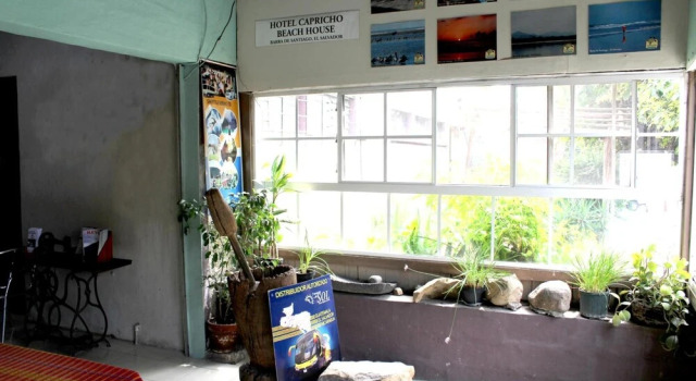 Ximena s Guest House