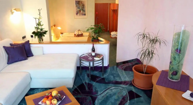 Двухместный номер Deluxe Hotel Am Hirschhorn - Wellness - Spa - and more