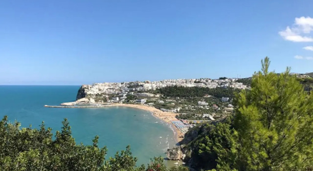 Le Bouganvillea