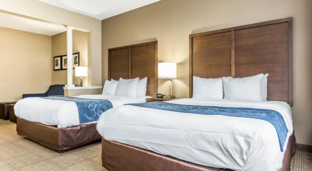 Четырёхместный люкс Standard Comfort Suites at Isle of Palms Connector