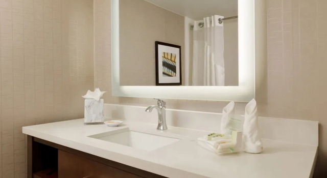 Двухместный номер Premium Holiday Inn San Antonio-Riverwalk by IHG